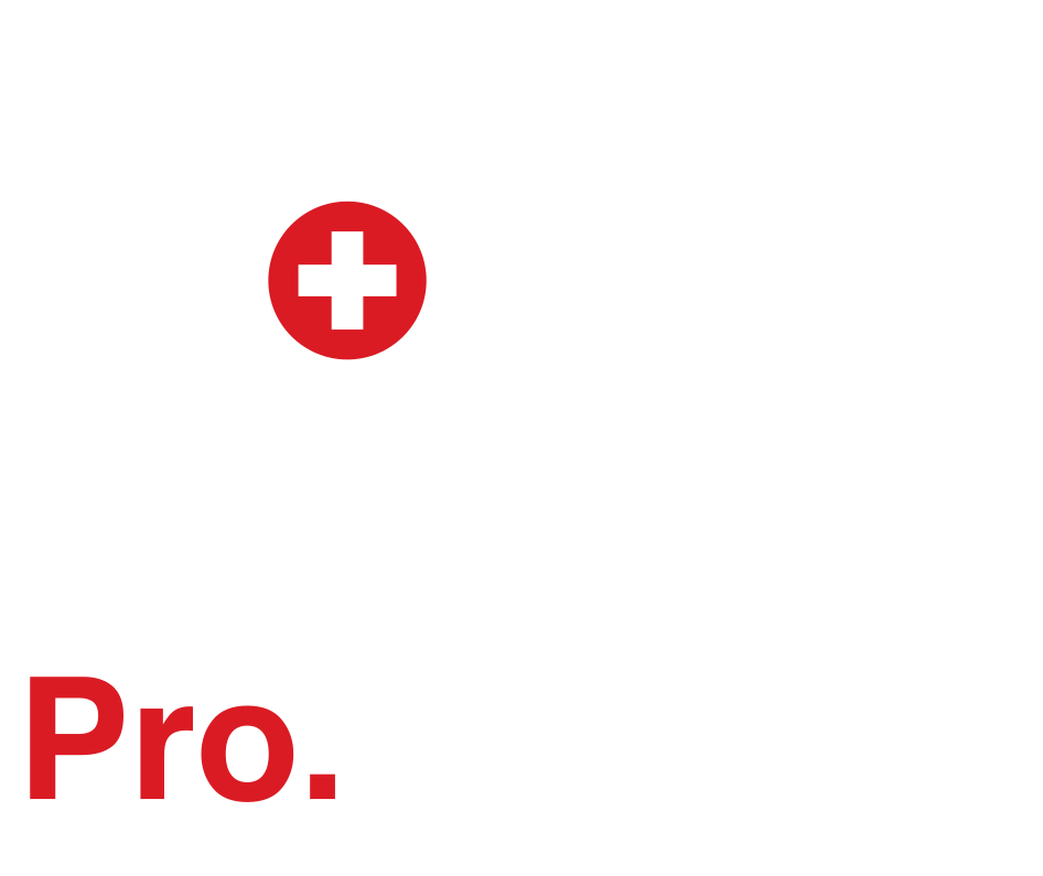 Pro.Politique – Schweizer Punktlogo